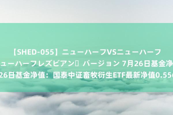 【SHED-055】ニューハーフVSニューハーフ 不純同性肛遊 2 魅惑のニューハーフレズビアン・バージョン 7月26日基金净值：国泰中证畜牧衍生ETF最新净值0.5562，涨0.36%