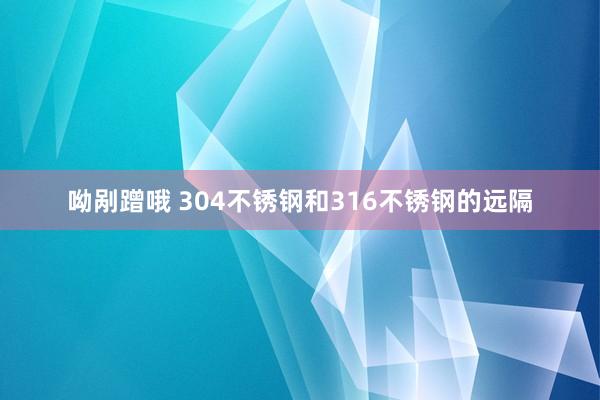 呦剐蹭哦 304不锈钢和316不锈钢的远隔