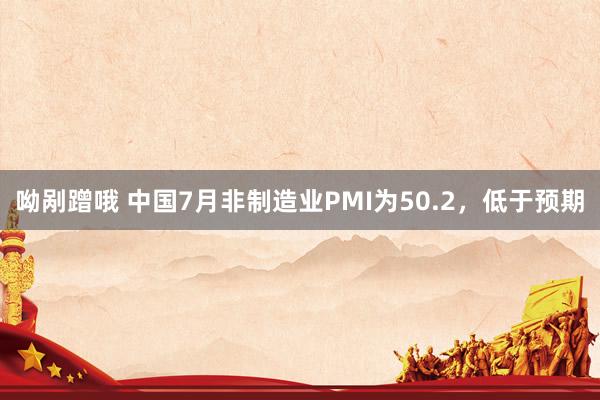 呦剐蹭哦 中国7月非制造业PMI为50.2，低于预期