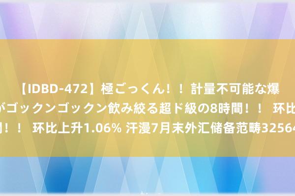 【IDBD-472】極ごっくん！！計量不可能な爆量ザーメンをS級女優がゴックンゴックン飲み絞る超ド級の8時間！！ 环比上升1.06% 汗漫7月末外汇储备范畴32564亿好意思元