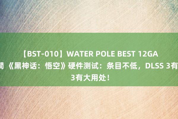 【BST-010】WATER POLE BEST 12GALs 8時間 《黑神话：悟空》硬件测试：条目不低，DLSS 3有大用处！