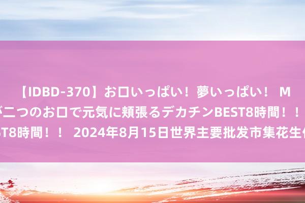 【IDBD-370】お口いっぱい！夢いっぱい！ MEGAマラ S級美女達が二つのお口で元気に頬張るデカチンBEST8時間！！ 2024年8月15日世界主要批发市集花生仁价钱行情