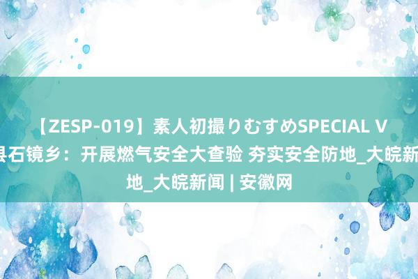 【ZESP-019】素人初撮りむすめSPECIAL Vol.3 怀宁县石镜乡：开展燃气安全大查验 夯实安全防地_大皖新闻 | 安徽网