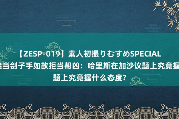 【ZESP-019】素人初撮りむすめSPECIAL Vol.3 链接当刽子手如故拒当帮凶：哈里斯在加沙议题上究竟握什么态度?