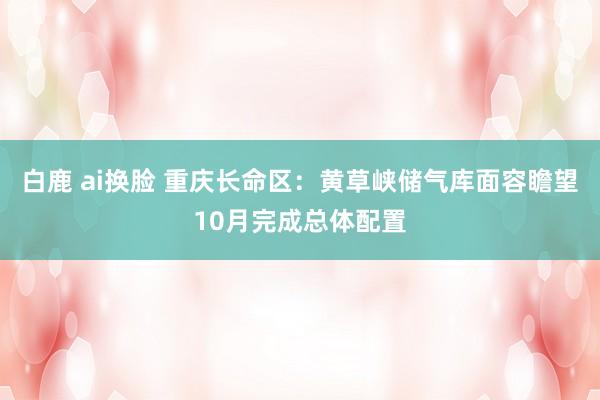 白鹿 ai换脸 重庆长命区：黄草峡储气库面容瞻望10月完成总体配置