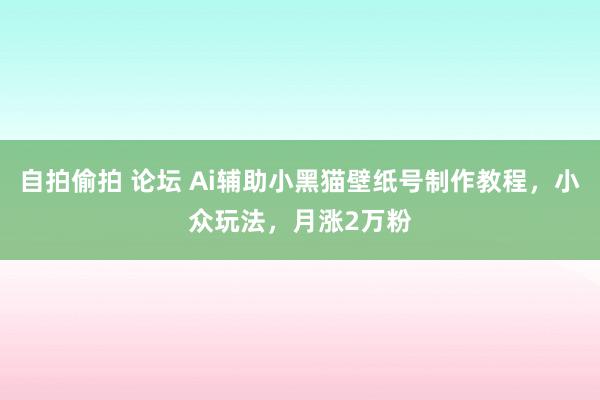 自拍偷拍 论坛 Ai辅助小黑猫壁纸号制作教程，小众玩法，月涨2万粉