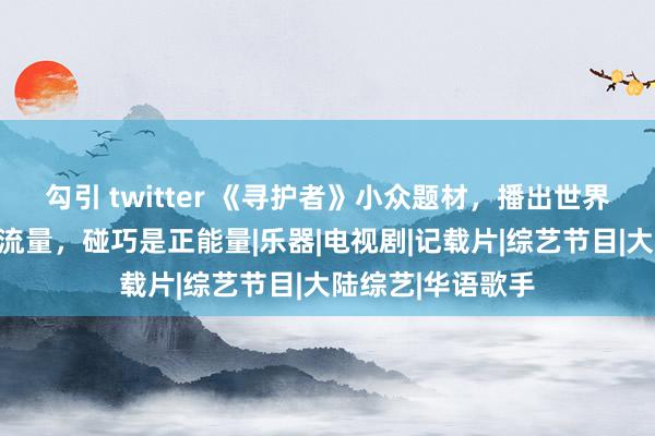 勾引 twitter 《寻护者》小众题材，播出世界后果，王一博的流量，碰巧是正能量|乐器|电视剧|记载片|综艺节目|大陆综艺|华语歌手