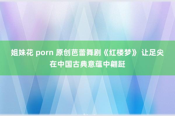 姐妹花 porn 原创芭蕾舞剧《红楼梦》 让足尖在中国古典意蕴中翩跹